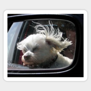 Oooh, how I love the wind and rain in my hair... Sticker